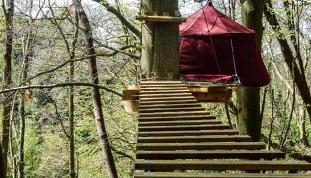 Foto de Camping Woody Park