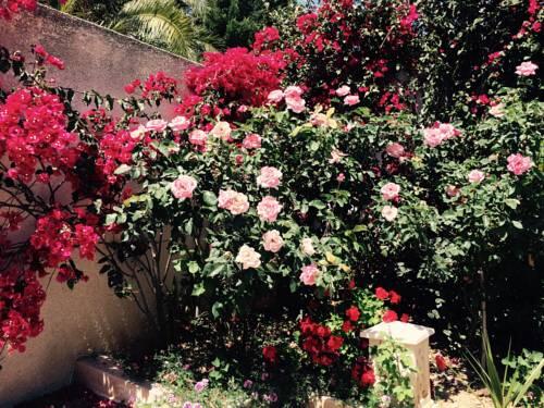 Foto general de Bed-and-Breakfast Dar Khereddine