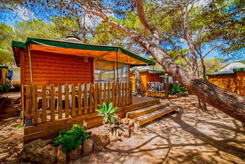 Room – Camping Cala Nova