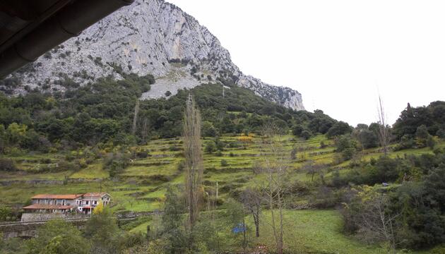Foto de Posada El Cafetín