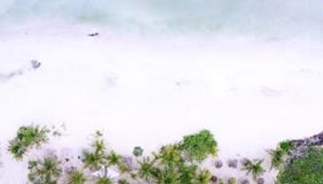 Foto de Hotel Almaplena Beach Resort