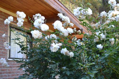Photo – Hosteria La Chacra