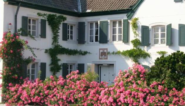 Foto de Rhein River Guesthouse - Art Hotel on the Rhine