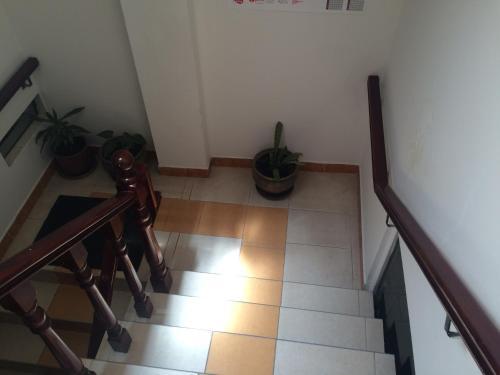 Foto de las zonas nobles de Hotel Misky Samay