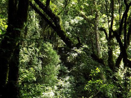Photo – Portal de Piedra