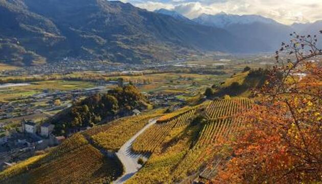Photo - Chez Constance