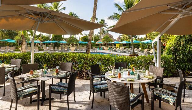 Foto de The Palms Hotel &amp; Spa
