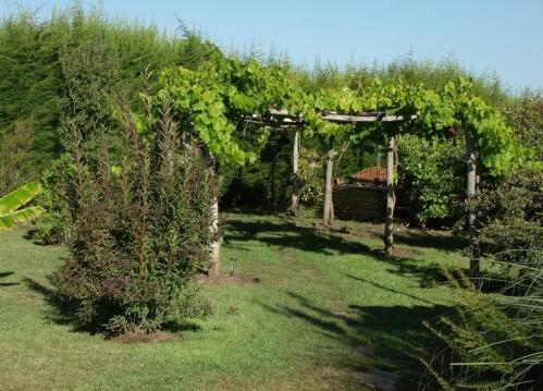 Foto de una habitación de Casa Rural Fundo San Bonifacio