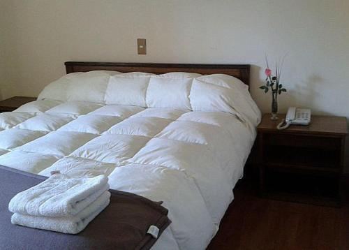 Foto de una habitación de Hotel Los Andes