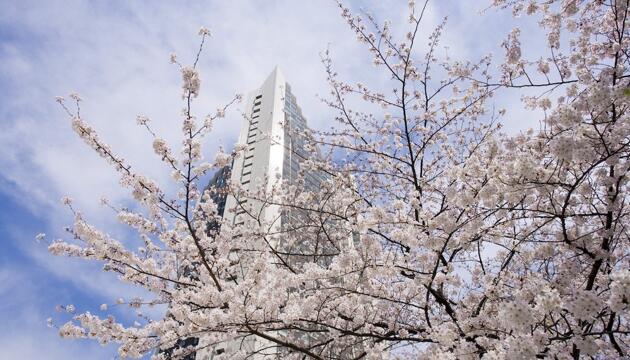 Foto de ANA InterContinental Tokyo, an IHG Hotel