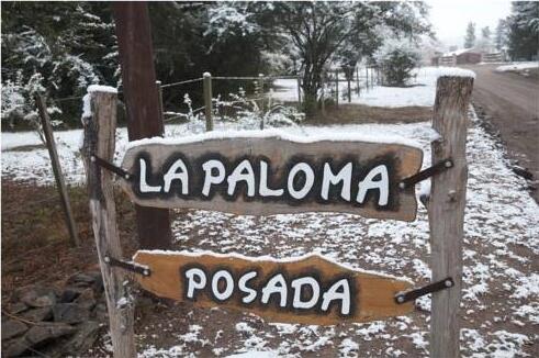Foto general de La Paloma Posada