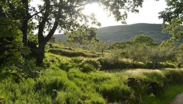 Foto de Casa Rural Las Fuentes de Ágata