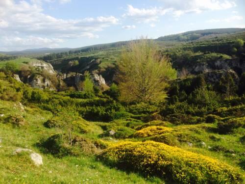 Foto general de Bed-and-Breakfast La Alpargateria