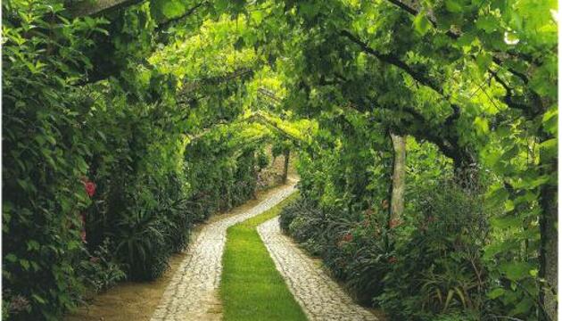 Foto de ArsDurium Douro hotel