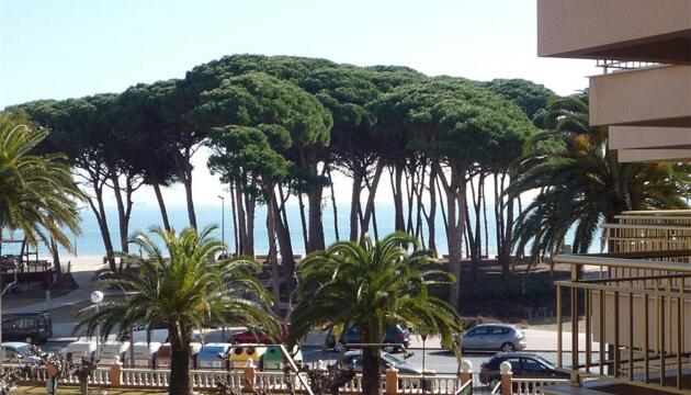 Foto de Apartamentos CYE 5 Rentalmar