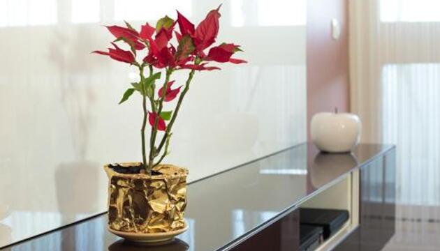 Photo – Apartment Amalfi