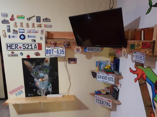 Foto general de Slow Monkey Hostel
