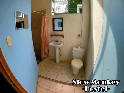 Foto de una habitación de Slow Monkey Hostel