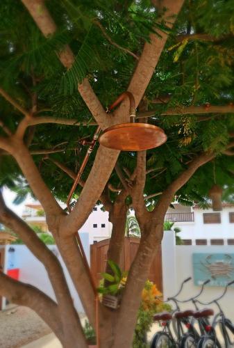 Foto del entorno de Alquileres Vacacionales Treasure By The Sea Bonaire