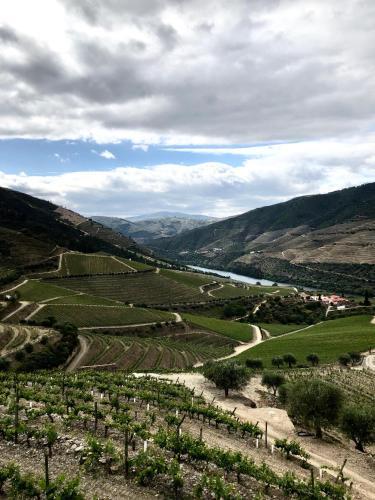 Foto del entorno de Albergue Quinta da Gricha