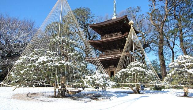 Foto de Hotel Chinzanso Tokyo