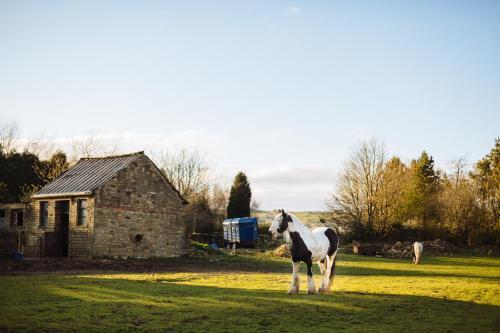 Surrounding area – Holdsworth House Hotel