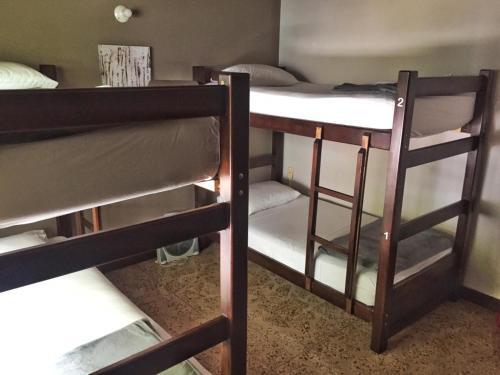 Foto de una habitación de Ivy Hostel