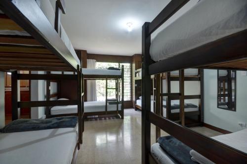 Foto de una habitación de Ivy Hostel