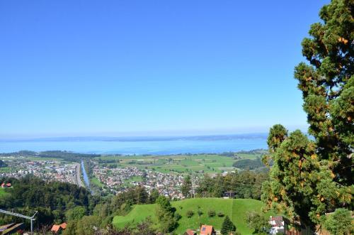 Foto del entorno de Hotel Walzenhausen Swiss Quality 