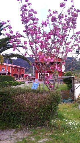 Foto del entorno de Hotel El Sueve