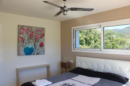 Room – Villa De Oro