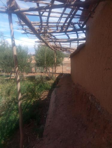Foto de los servicios de Bed-and-Breakfast Maison D’hôte Dar Panorama