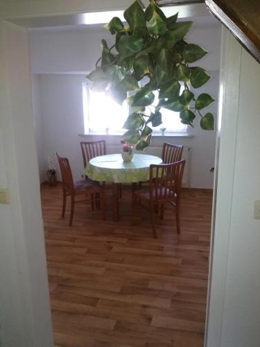 Foto de una habitación de Apartamentos Ferienwohnung Langelsheim