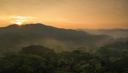 Foto del entorno de Sweet Songs Jungle Lodge