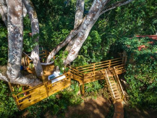 Foto del exterior de Sweet Songs Jungle Lodge