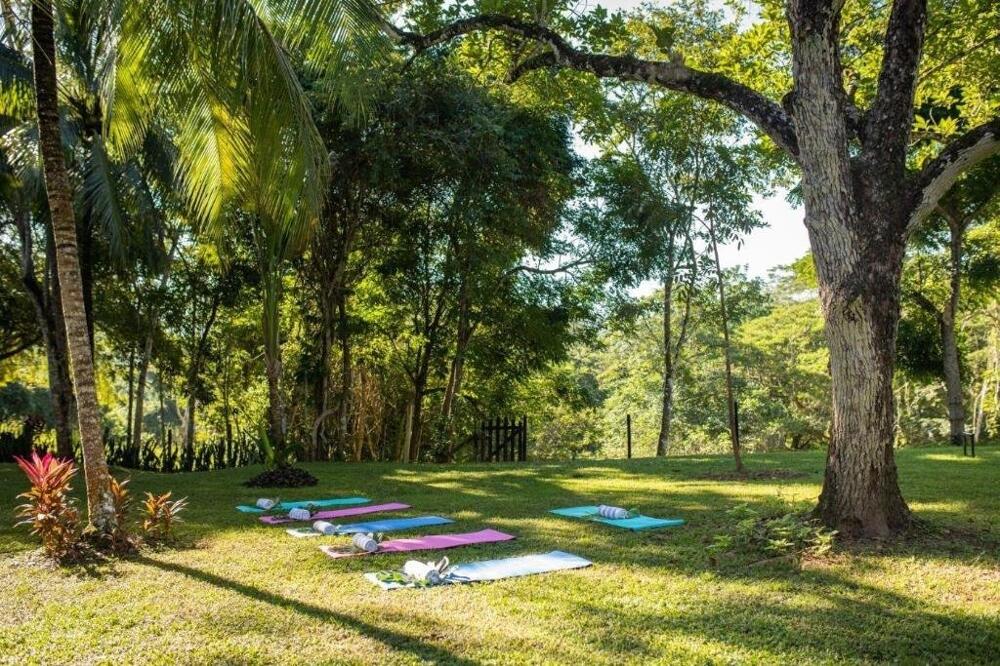 Foto general de Sweet Songs Jungle Lodge