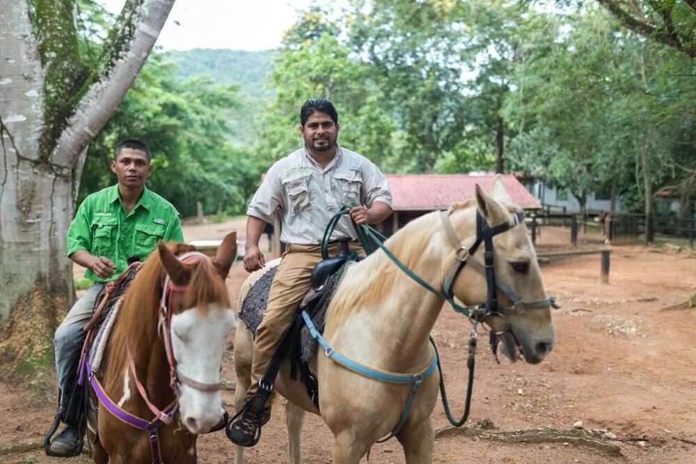 Foto general de Sweet Songs Jungle Lodge