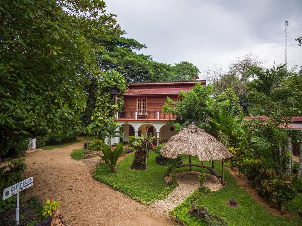 Foto de las zonas nobles de Sweet Songs Jungle Lodge