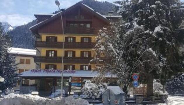 Foto de Hotel Pineta