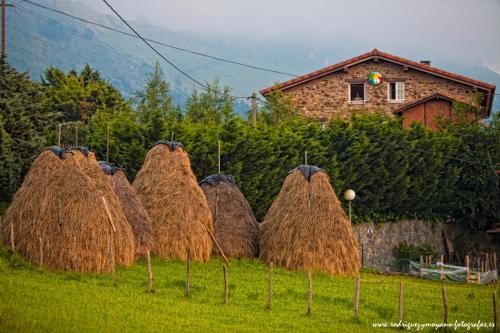 Foto de los servicios de Casa Rural Txerturi-Goikoa