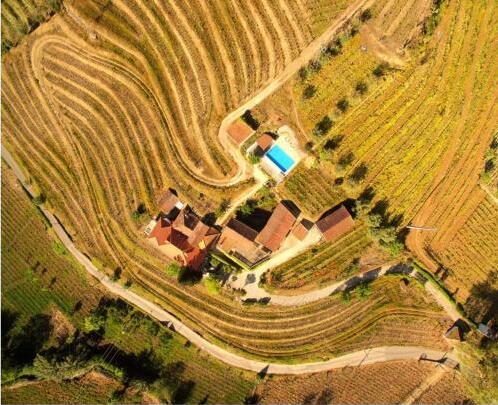 Foto del exterior de Bed-and-Breakfast Quinta do Fôjo