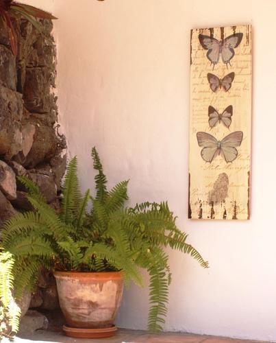 Foto del exterior de Casa Creativa
