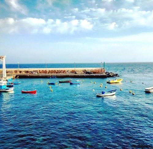 Foto general de Bed-and-Breakfast Terrazas del Sur