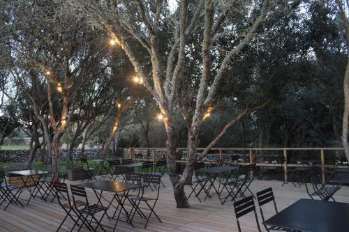 Foto general de Agroturismo Santa Mariana