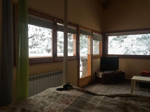 Foto del entorno de Els Apartaments del bosc