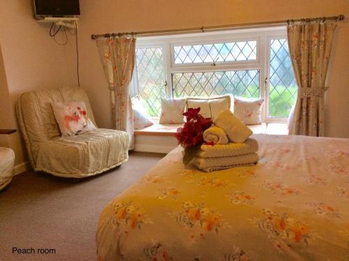 Photo – Cwmbach Guest House