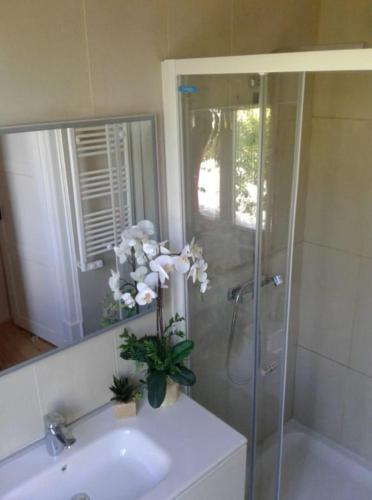 Foto del baño de Villa Rio Guest House Suites