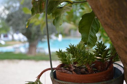 Foto general de Hotel Torre Santamaria Resort