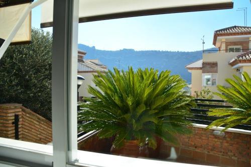 Foto del entorno de Apartamentos Turísticos Tronca Luxury