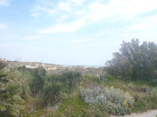 Foto general de Hotel Les Dunes